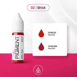 The Pigment - 02 Brick - 15ml