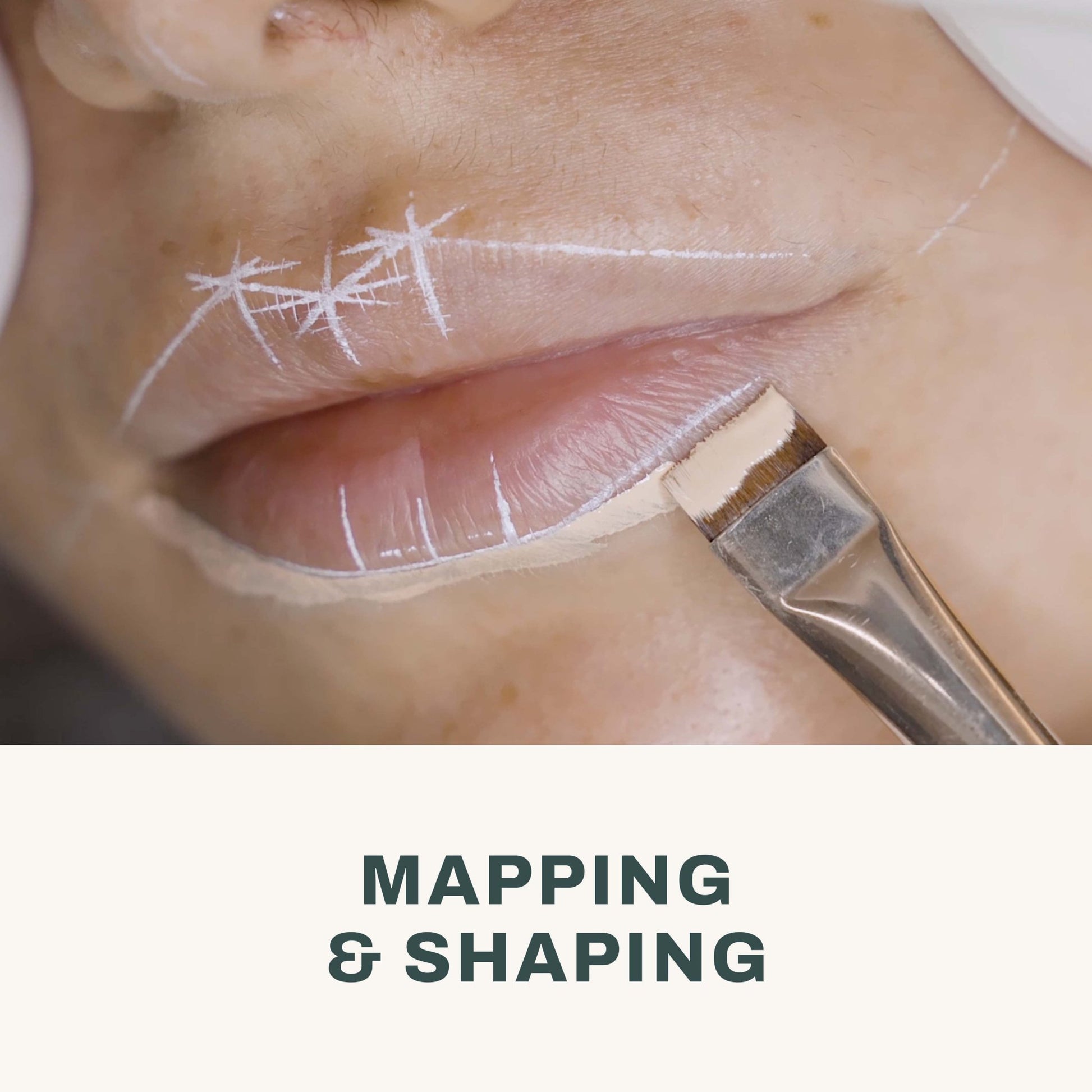 The Pigment - PMU Lips Course