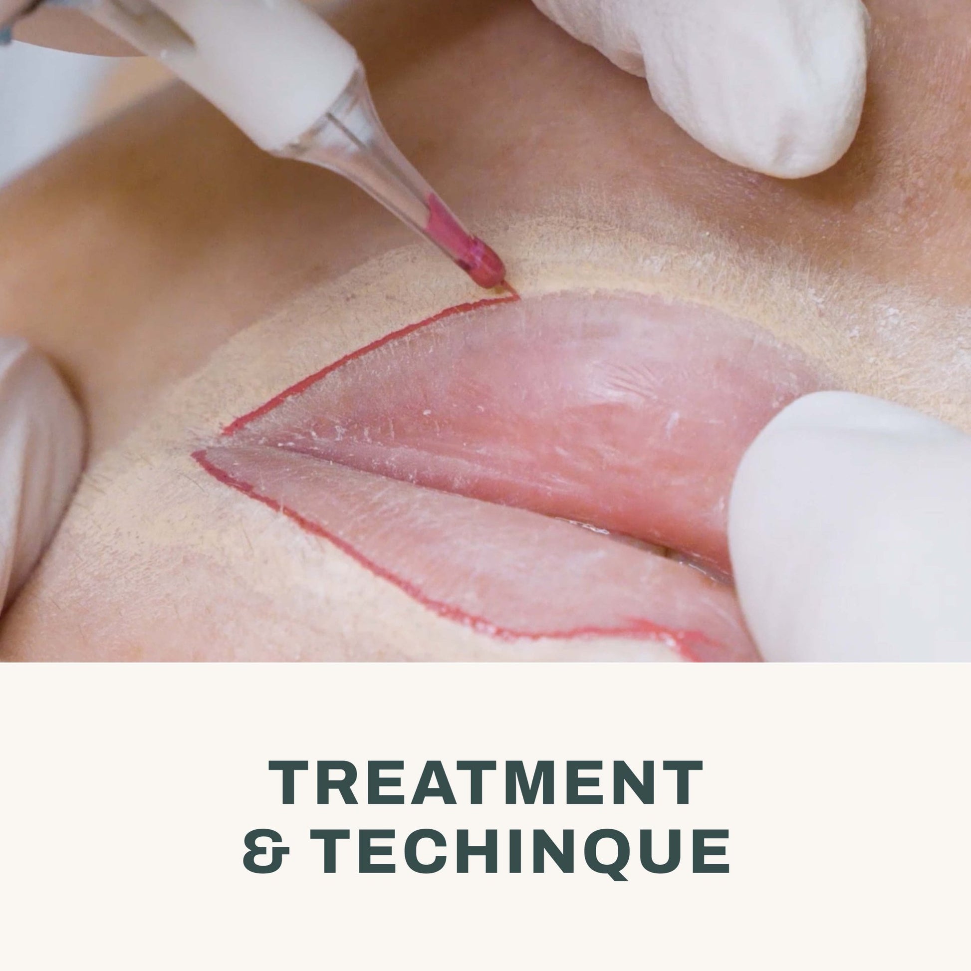 The Pigment - PMU Lips Course