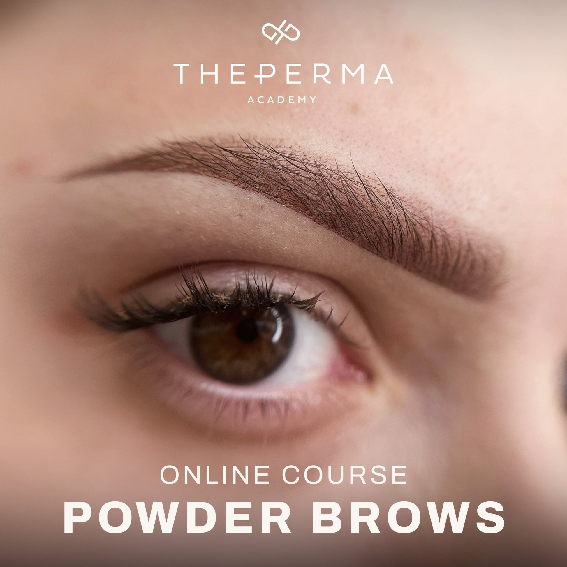 The Pigment - Powder Brows Course