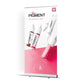 The Pigment - Roll Up - A