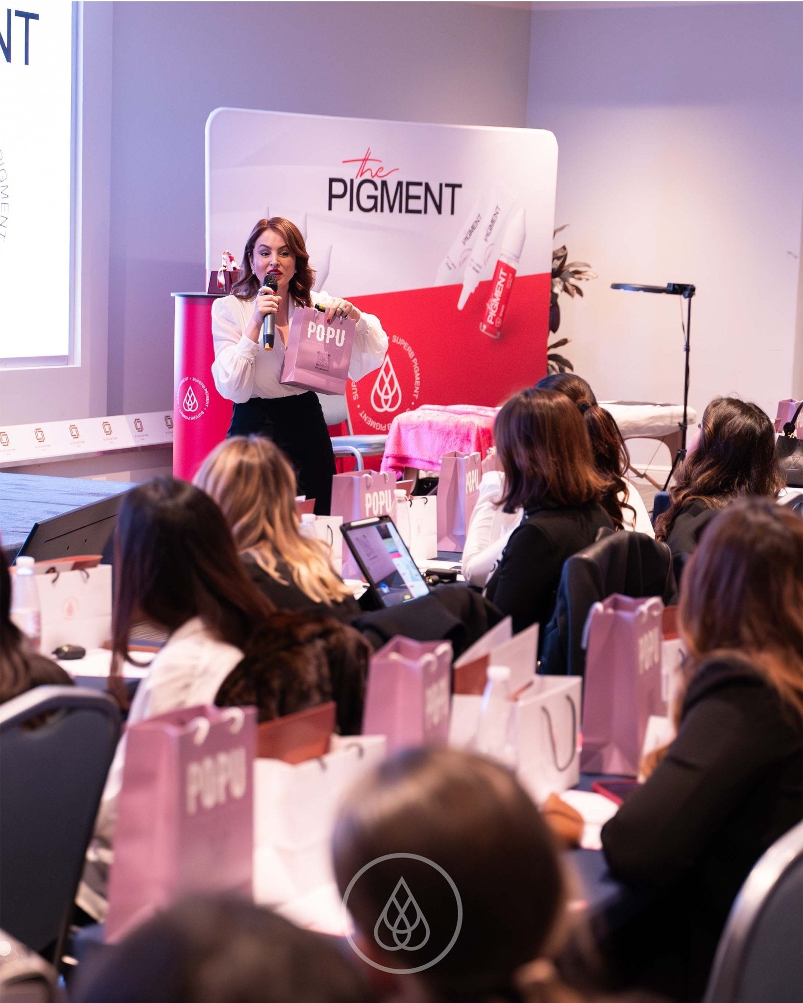 The Pigment - The Pigment Masterclass
